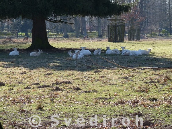 Zmeck park astolovice