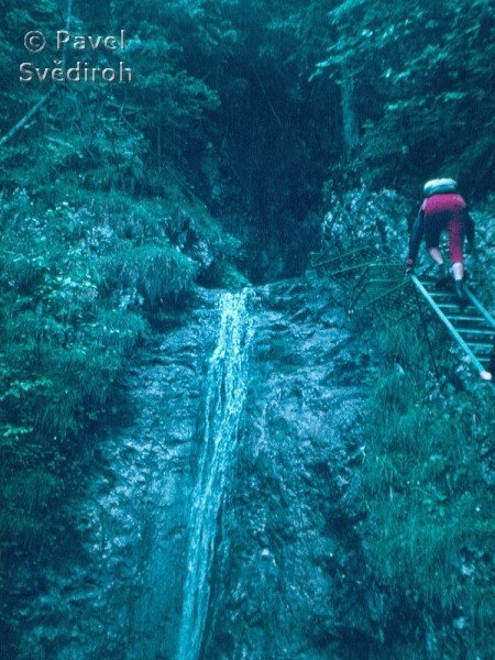 Slovensk rj 1984