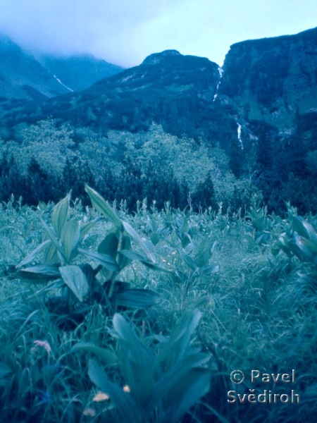 Vysok Tatry 1991